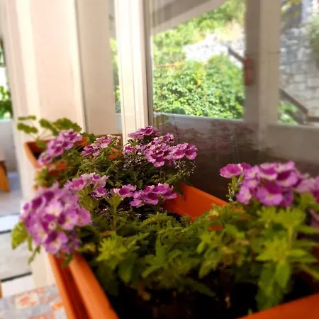 Apartment Adriatic
